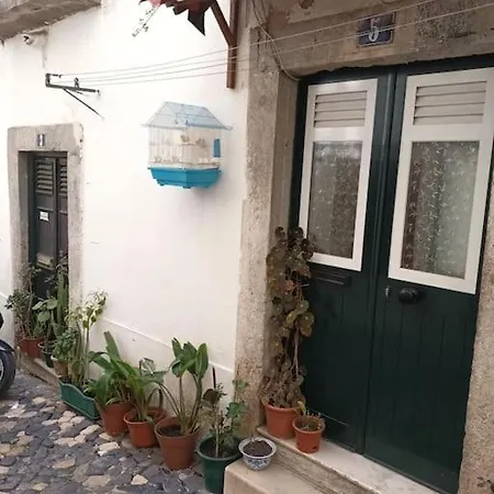 Mouraria Cozy & Charming 公寓