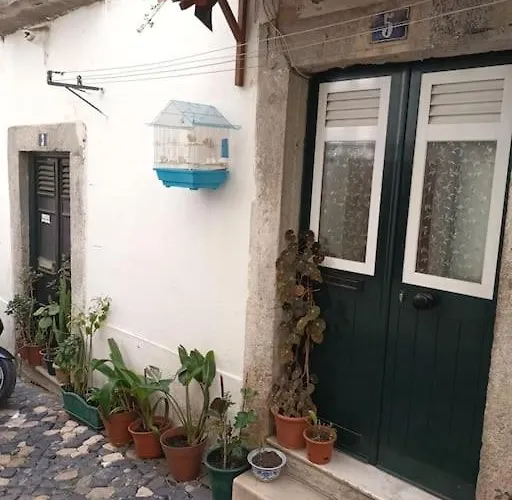 Mouraria Cozy & Charming Appartement